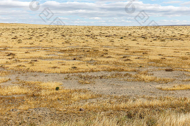 干草草原景观戈壁沙漠蒙古