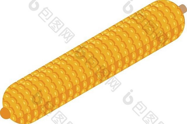 玉米结实的矮图标等角风格