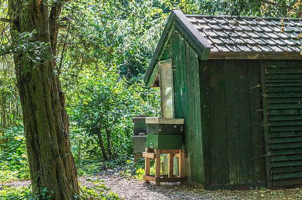 荷兰鹿特丹肖恩诺德公园中段的小木屋