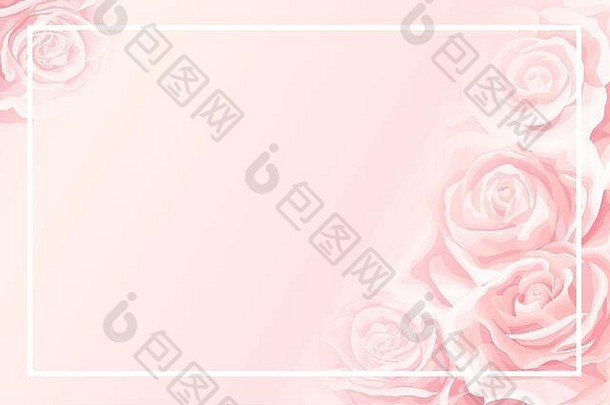 空白边框，柔和的粉红色背景，美丽的奶油玫瑰花蕾