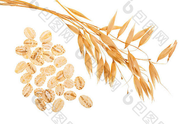 燕麦穗状花序，白色背景上分离出燕麦片。顶视图。