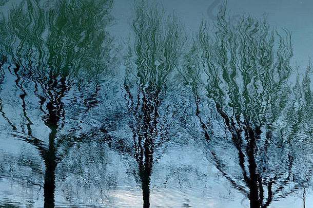 冬天树反映了河