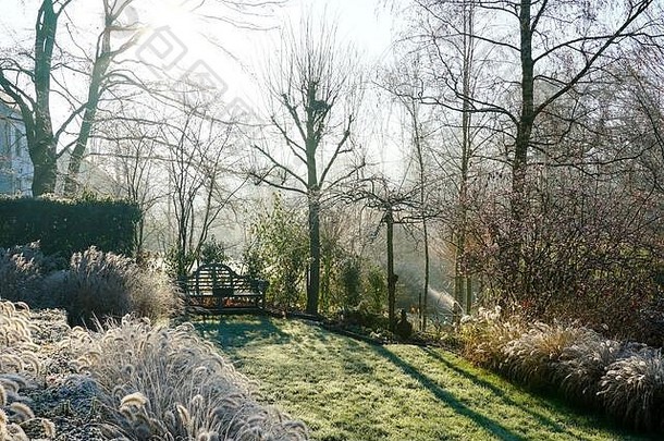 一个冬天的早晨，花园里的<strong>霜冻</strong>和阳光下的风景，植物的边界，绿色的<strong>霜冻</strong>草，棕色的草坪。