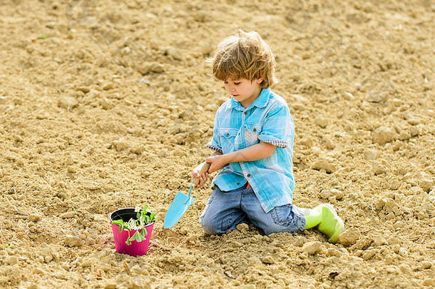 那个男孩坐在地上种花。在农场玩得开心。园艺概念。<strong>孩子</strong>玩小铲子和花盆里的植物。田间种植。种苗。花园里的小帮手。