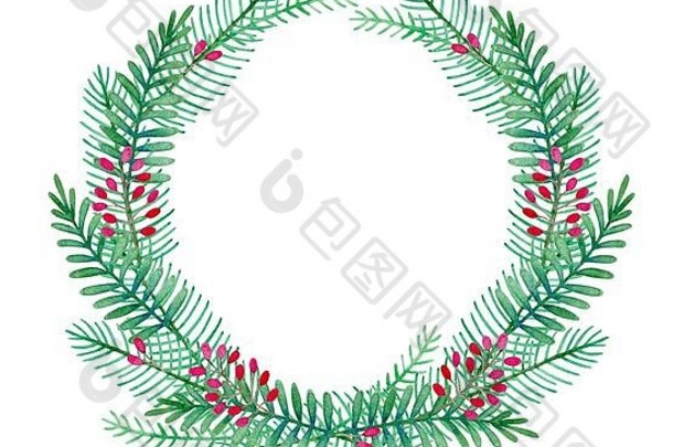 水彩冬天手画绿色花环冷杉分支机构红色的浆果白色背景一年圣诞节设计