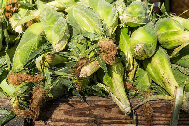 美国华盛顿州伊萨卡农贸市场出售的一堆甜玉米