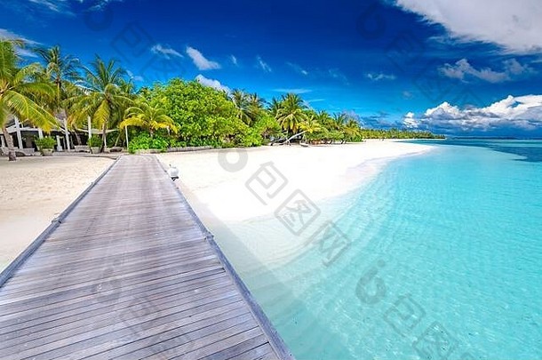 令人惊叹的海滩景色，长长的码头映入棕榈树之中。马尔代夫，天堂海滩背景，设计旗帜。蓝天白云，宁静的海滩尽收眼底