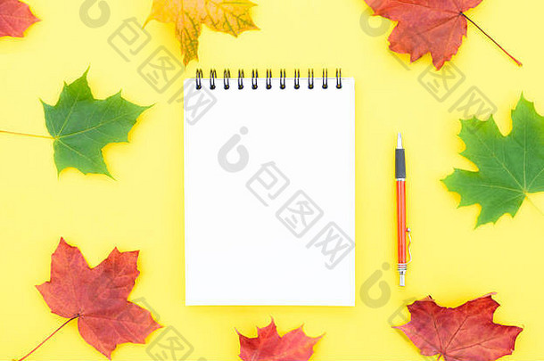 开放空笔记本笔黄色的背景秋天枫木叶子