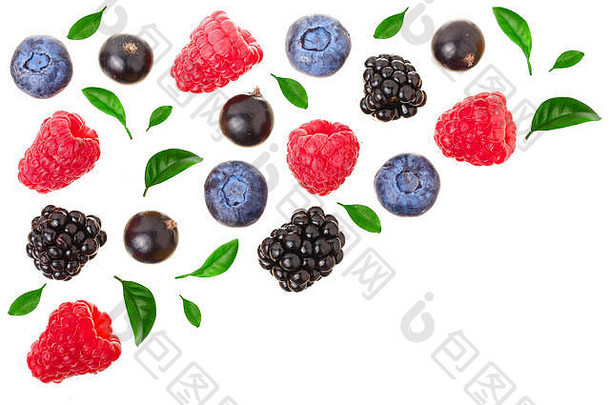 黑莓、蓝莓、覆盆子、黑加仑子、白色背景、文本空间。顶视图。平铺模式