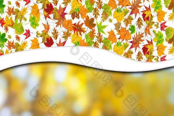秋季抽象花卉背景，适合您的文字