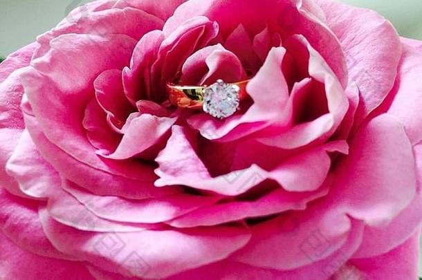 镶着美丽花朵的金订婚戒指