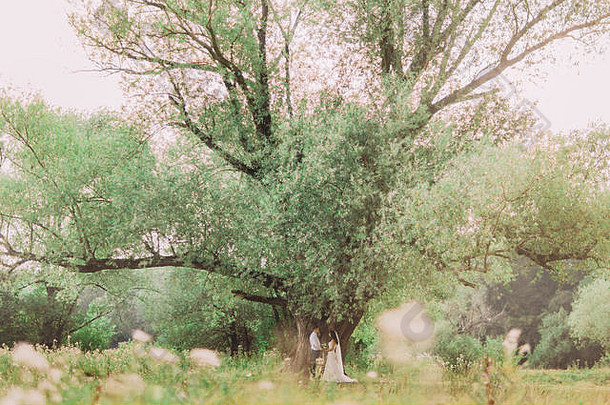 在春天的草地上，幸福的年轻新娘和新郎手牵手在一棵长着新鲜绿叶的大树下摆姿势