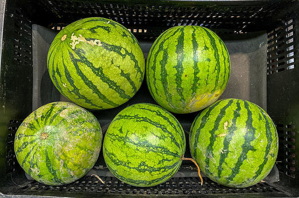 新鲜的西瓜篮子出售市场