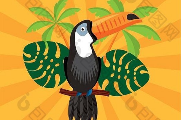 犬科里约巴西庆祝活动巨嘴鸟