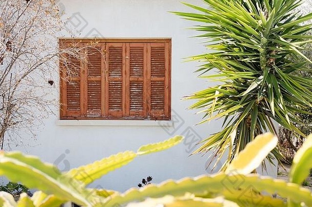 房子窗户附近长着嫩绿的棕榈树