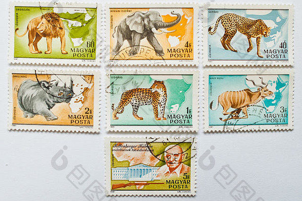 乌日哥罗德乌克兰约集合邮资邮票印刷匈牙利显示野生动物约