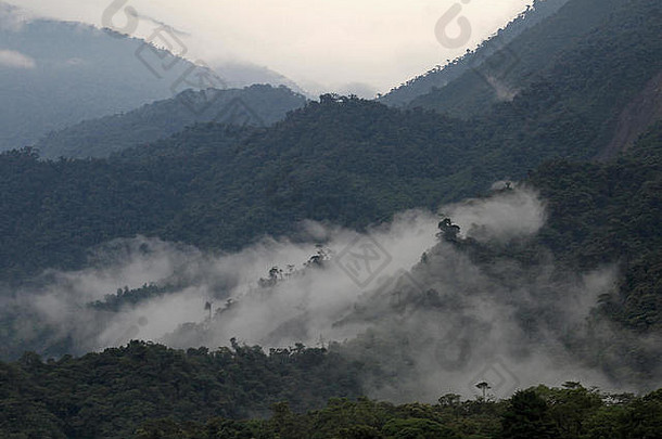 厄瓜多尔山区的云林。在去亚马孙河流域的路上。
