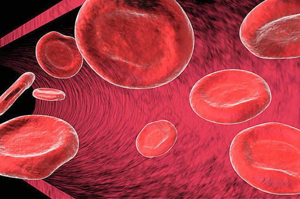 红色的血细胞红细胞浮动动脉