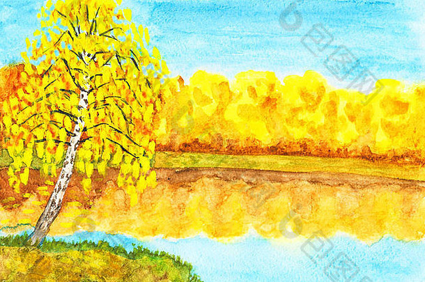 手绘图片，水彩画，秋天的风景-金桦树湖附近的金色森林。