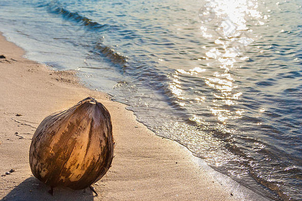 马来西亚兰卡威日落时，一个美丽的椰子果（椰子果）被冲上岸，沙滩上波光粼粼。反射的。。。