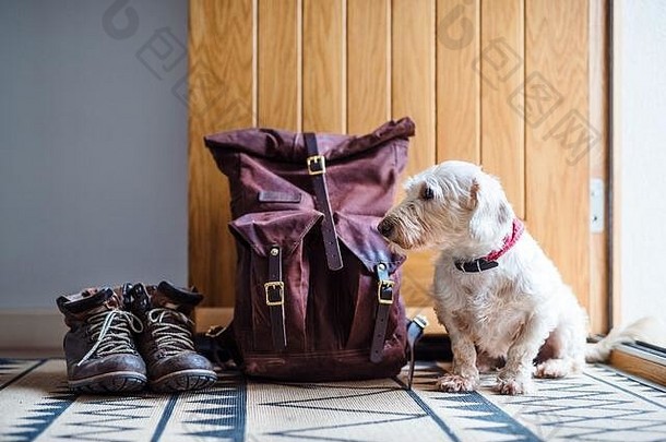一双靴子，背包和一只狗坐在敞开的前门旁。