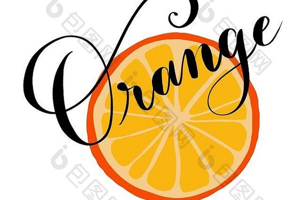 带有手写文字的橙色插图，用于制作菜单卡和鸡尾酒的新鲜水果片