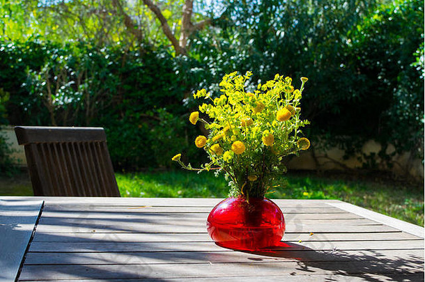春天的花束美丽<strong>清新</strong>的田野黄色的花朵在花园里的木桌上的红色玻璃花瓶里盛开，盛开着<strong>花草</strong>