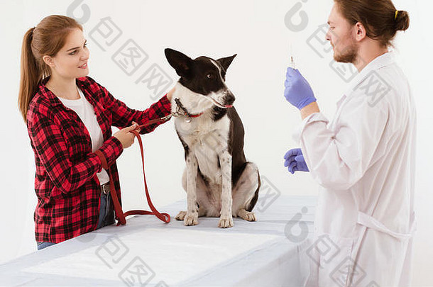 狗和它的主人在兽医诊所接受检查。
