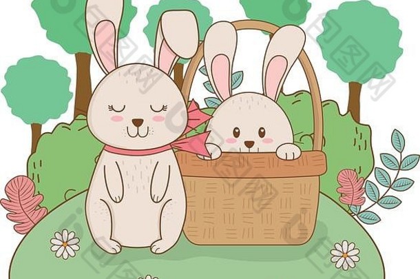 兔子篮子花园
