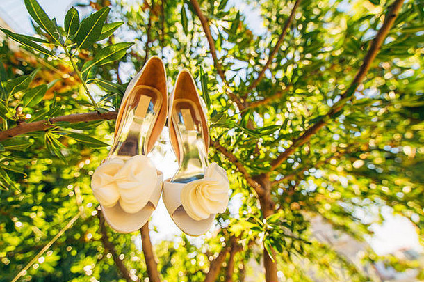 婚礼鞋子新娘挂分支橄榄树