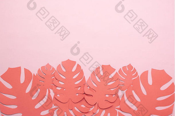 粉色背景上深珊瑚色的热带剪纸叶子，俯视图