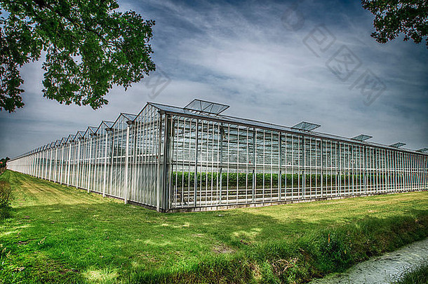 大玻璃温室培养草莓