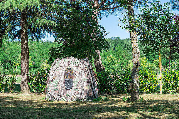 露营地上树间的帐篷。阳光
