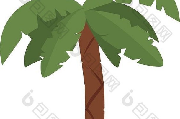 棕榈树图标图像
