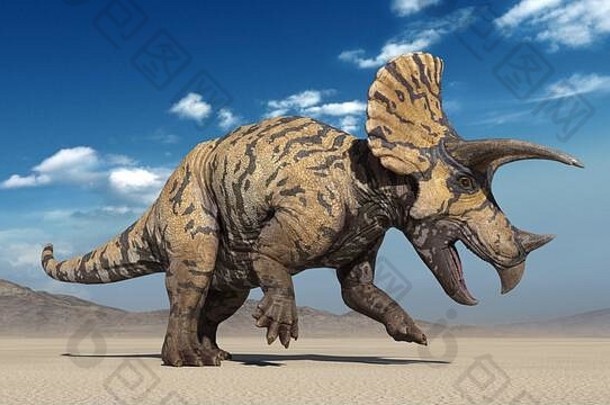 三角龙，恐龙爬行动物跺脚，荒芜自然环境中的史前侏罗纪动物，3D插图