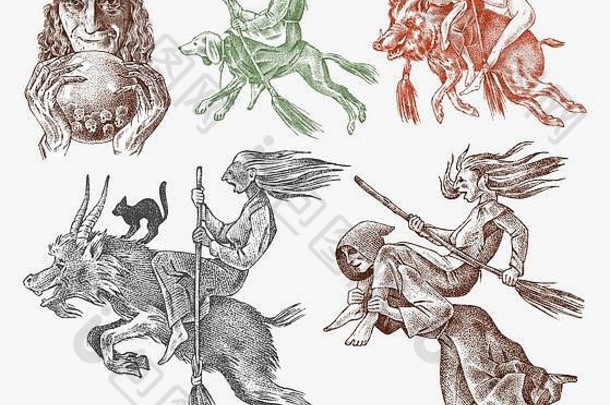 女巫带着扫帚、狗、山羊和野猪飞翔。古代神话中的魔法人物集。雕刻单色草图。手绘古董