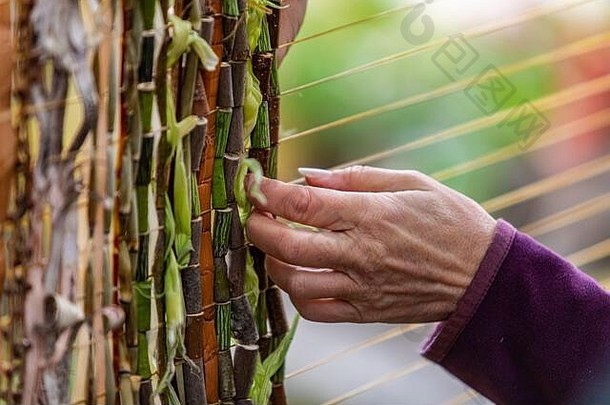 在世界和口语节期间，在黄色细绳上用植物和木质竹片制作抽象装饰的裁剪图像