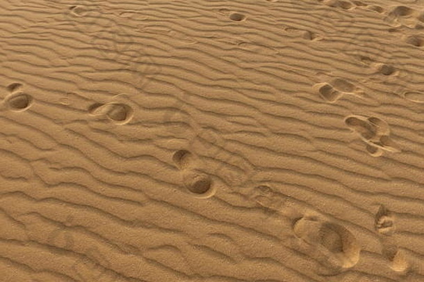 沙丘上的脚印，沙粒，科拉莱乔，自然公园。富尔特文图拉。西班牙加那利群岛