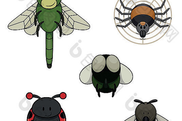 昆虫类动物：蜻蜓、蜘蛛、苍蝇、蚊子和臭虫