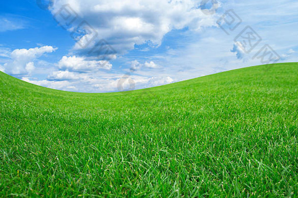 蓝天白云映衬下的绿野。