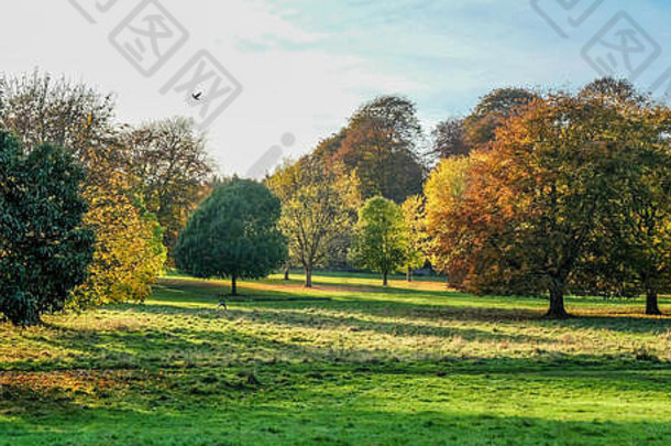 英格兰诺丁汉沃拉顿公园的秋季景观