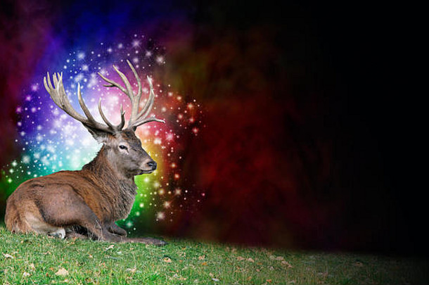 一只成熟的雄鹿坐在左边的草地上，头后有一个五彩闪闪发光的光球，背景为深红色和黑色
