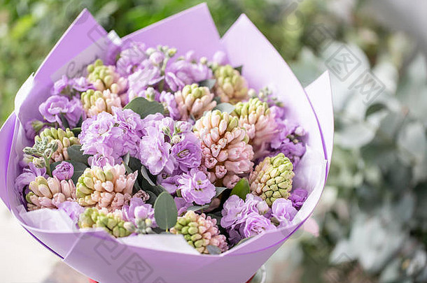 花束粉红色的风信子马蒂奥拉淡紫色颜色花瓶木表格春天花荷兰园丁概念花店花