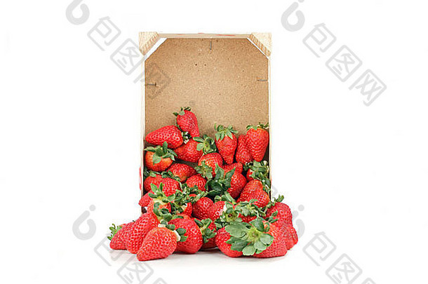 盒子草莓