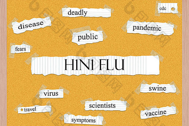 流感软木板词概念伟大的条款疾病流感大流行猪