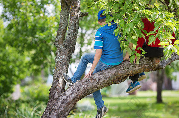 夏天，孩子们坐在公园的树上