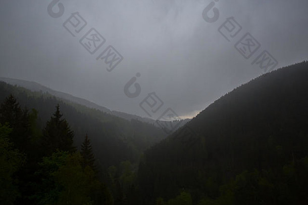 下午晚些时候，雾蒙蒙的针叶林哈兹山脉森林丘陵