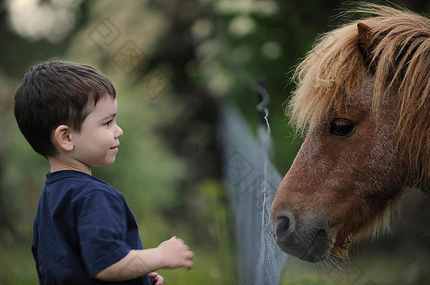 <strong>澳大利亚塔斯</strong>马尼亚州，一个带着小马的小男孩