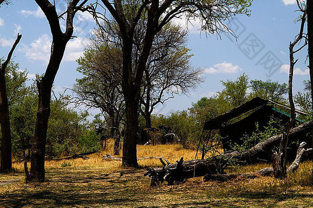 非洲博茨瓦纳的私人露营地，梅鲁风格的优质套间帐篷用于私人狩猎，和丛林草原很相配