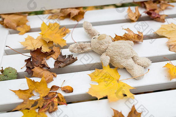 玩具兔子板凳上秋天公园